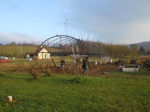 Fóliasátor, egyenesfalú Fóliasátor, egyenesfalú