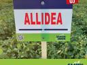 ALLIDEA korai (00/0) szója vetőmag