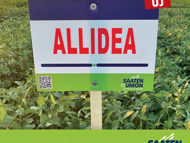 ALLIDEA korai (00/0) szója vetőmag ALLIDEA korai (00/0) szója vetőmag