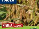PAULA korai (00/0) szója vetőmag
