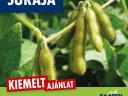 SURAJA korai (0) szója vetőmag