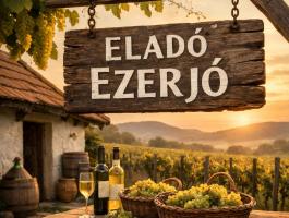 Eladó ezerjó házi bór