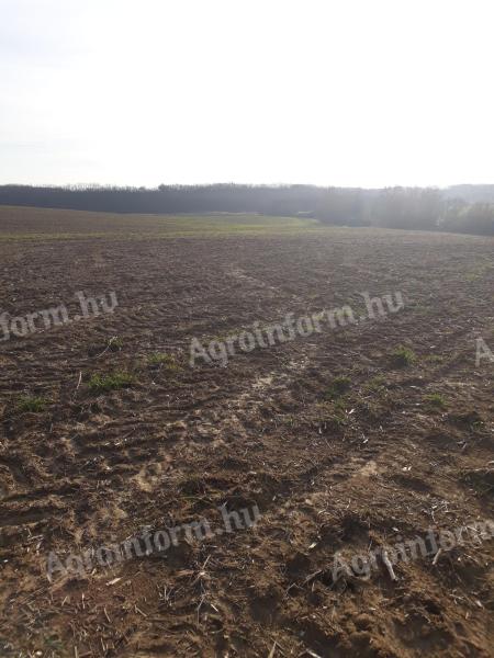 Eladó 9 hektáros termőföld Somogy megyében – napelempark létesítésére alkalmas