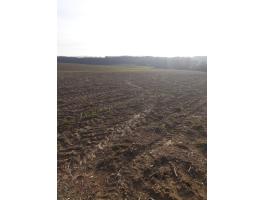 Eladó 9 hektáros termőföld Somogy megyében – napelempark létesítésére alkalmas