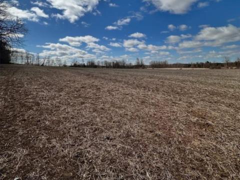 Szántóföld bérlése hosszú távra