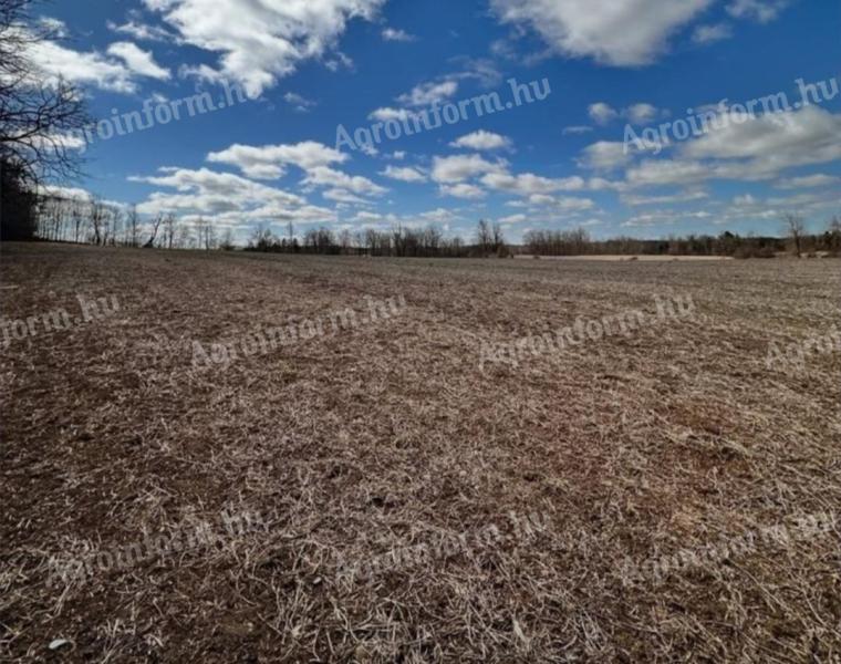 Szántóföld bérlése hosszú távra