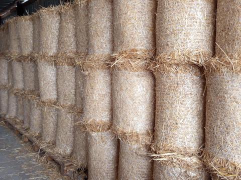 Szalma széna lucerna Szalma széna lucerna