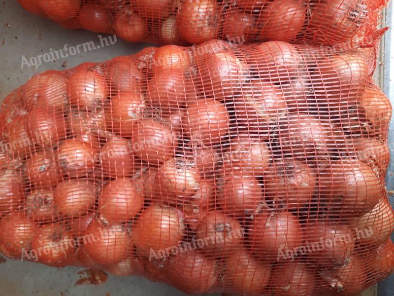 Vöröshagyma (Borneo)