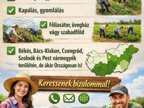 Mezőgazdasági munkákat vállalunk Mezőgazdasági munkákat vállalunk