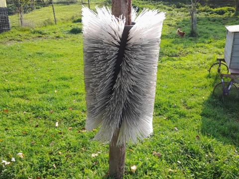 Vakarózó kefe lovaknak, teheneknek, bárányoknak – több méretben Vakarózó kefe lovaknak, teheneknek, bárányoknak – több méretben