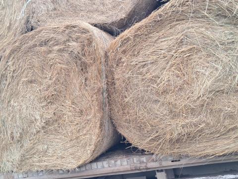 Eladó széna bála