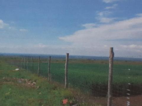 Gyöngyössolymos közelében 9 ha bekerített szántó eladó