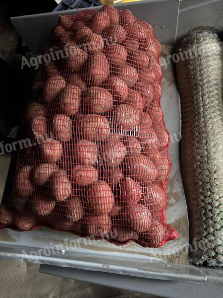 Balatoni Rózsa vetőburgonya