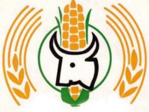 Dél-somogyi családi jellegű gazdaság fiatalos csapata adminisztrátor/ügyintéző kollégát keres Dél-somogyi családi jellegű gazdaság fiatalos csapata adminisztrátor/ügyintéző kollégát keres