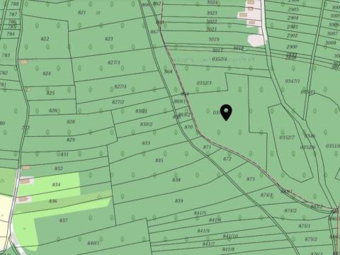 Dióskálon, vágásérett akácerdő területtel együtt eladó