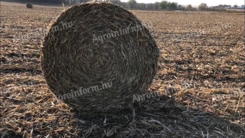 Eladó körbálás kukoricaszár