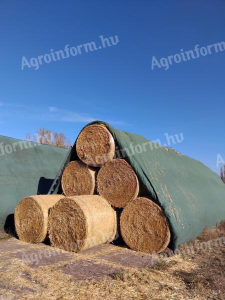Árpa szalma bála eladó