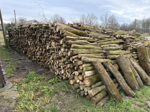 Kemény tűzifa /tölgy, gyertyán, kőris/