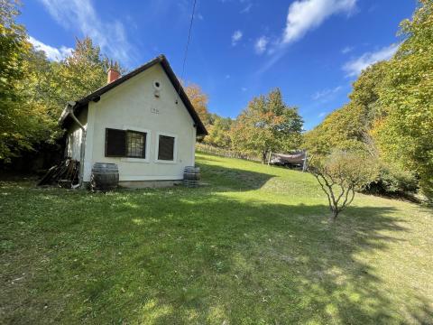 Pécselyen, gyönyörű erdős környezetben bővíthető pince-présház, nyaraló eladó Pécselyen, gyönyörű erdős környezetben bővíthető pince-présház, nyaraló eladó