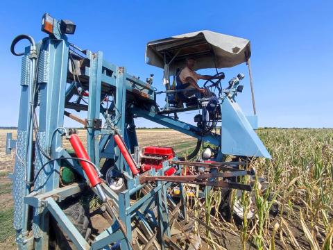 Hibrid taposó Hibrid taposó