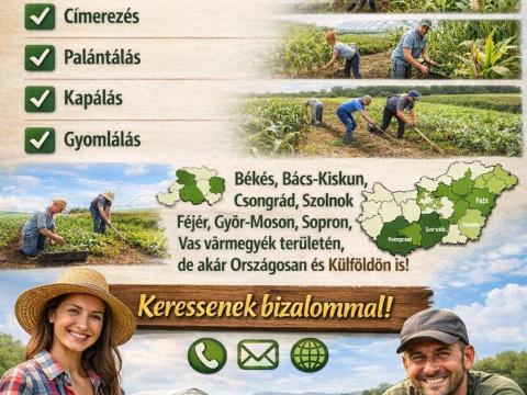 Mezőgazdasági munkákat vállalunk Mezőgazdasági munkákat vállalunk
