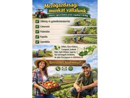 Mezőgazdasági munkákat vállalunk