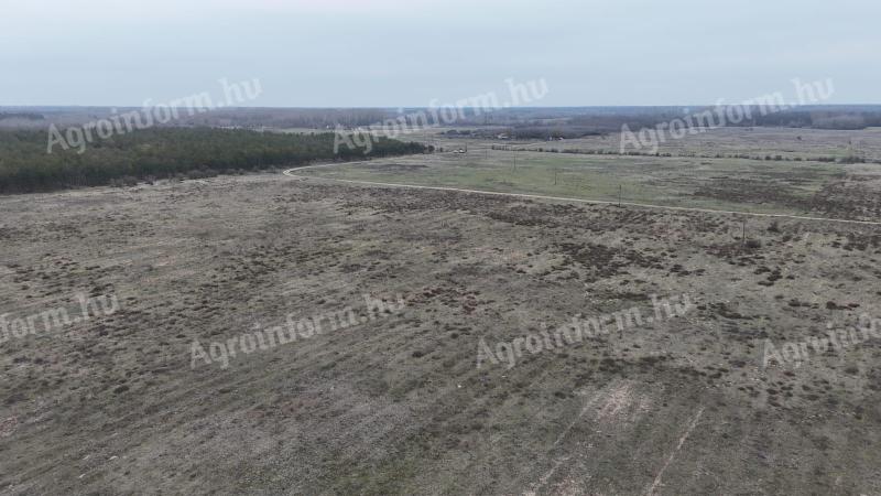 Kiskunhalas térségében 88,83 HA földterület eladó