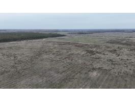 Kiskunhalas térségében 88,83 HA földterület eladó