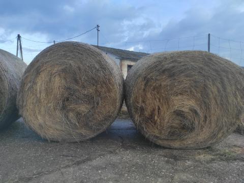 Széna bála eladó Széna bála eladó