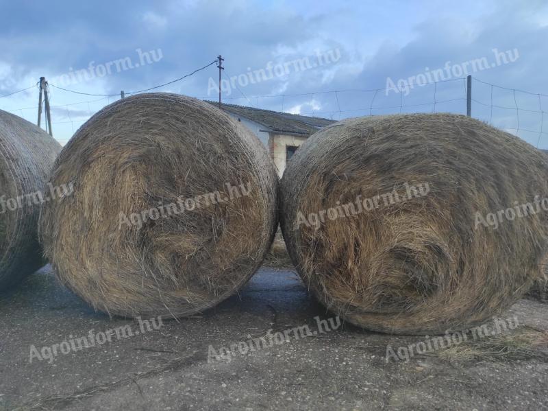 Széna bála eladó