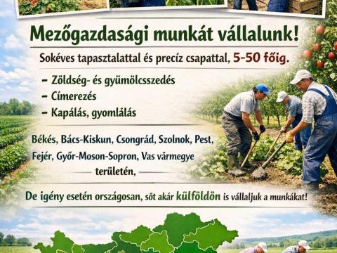 Mezőgazdasági munkát vállalunk – tapasztalt csapattal