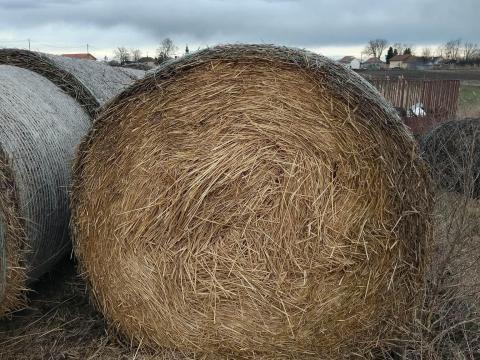 Szalma bála eladó Szalma bála eladó