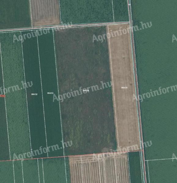 Szántó eladó Gádoroson, hrsz: 064/34