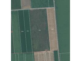 Szántó eladó Gádoroson, hrsz: 064/34