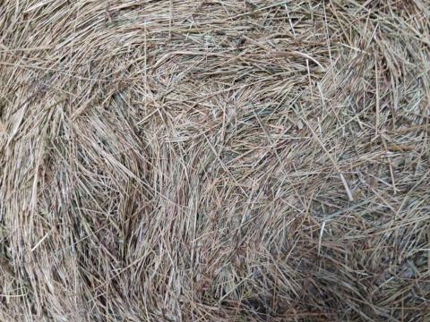 120-as kiváló minőségű szénabála 120-as kiváló minőségű szénabála