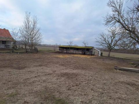 Eladó tanya Helvécián Eladó tanya Helvécián