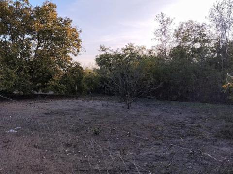 Csikérián 1798 m²-es kivett belterületi beépítetlen telek eladó kedvező áron