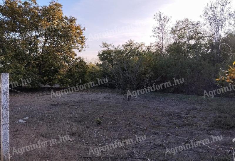 Csikérián 1798 m²-es kivett belterületi telek eladó