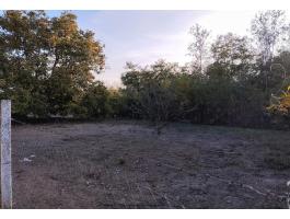 Csikérián 1798 m²-es kivett belterületi telek eladó