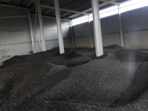 Eladó 2025-ös olajnapraforgó Eladó 2025-ös olajnapraforgó