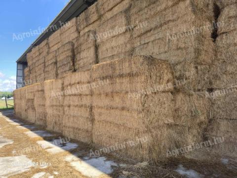 Nagykocka széna eladó Zalából, kamiontételben Nagykocka széna eladó Zalából, kamiontételben