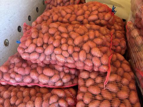 Red Scarlett vetőburgonya Red Scarlett vetőburgonya