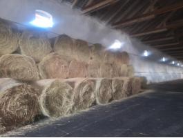 Eladó gyepszéna szállítással