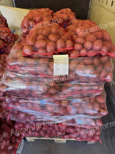 Balatoni Rózsa burgonya