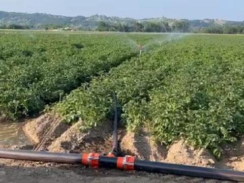 Szórófejes öntözőrendszer – komplett öntözéstechnikai megoldás Szórófejes öntözőrendszer – komplett öntözéstechnikai megoldás