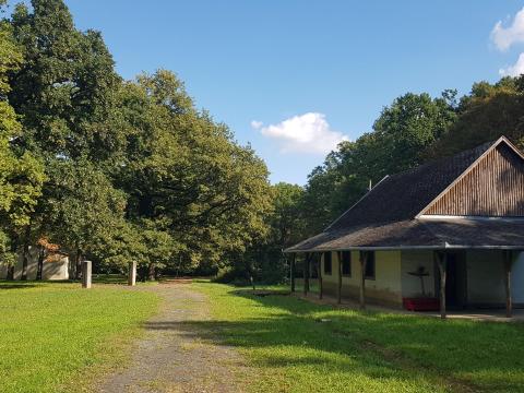 Turisztikai övezet 50-100 éves tölgyfás, 80.000 m2 Turisztikai övezet 50-100 éves tölgyfás, 80.000 m2