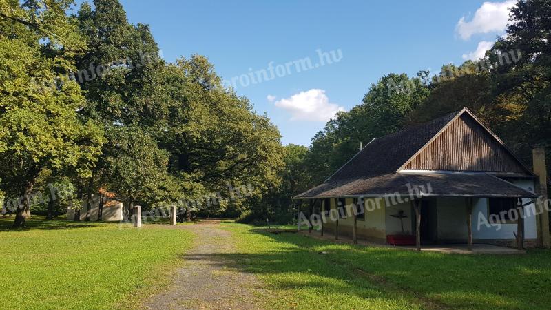Turisztikai övezet 50-100 éves tölgyfás,  80.000 m2
