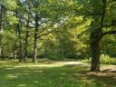 Turisztikai övezet 50-100 éves tölgyfás,  80.000 m2