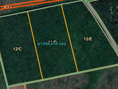 Nyírkátán 20ha Akácerdő tulajdonrész eladó Nyírkátán 20ha Akácerdő tulajdonrész eladó