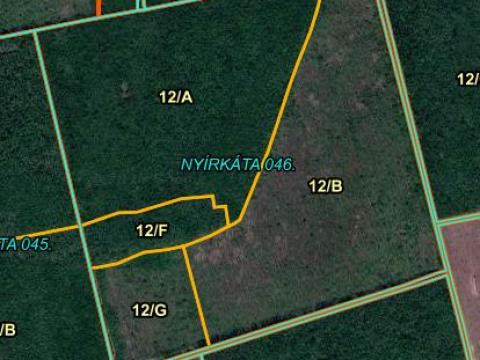 Nyírkátán 22ha Akácerdő tulajdonrész eladó Nyírkátán 22ha Akácerdő tulajdonrész eladó